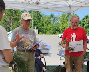 Native Trees & Biodiversity