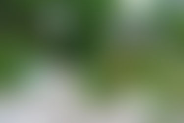 Volunteers remove more than three tonnes of waste from Guild Park's shore area since 2013 