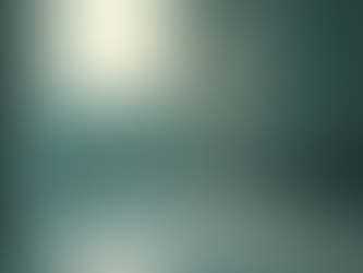 Effective Natural Spider Control: Keeping Your Home Spider-Free