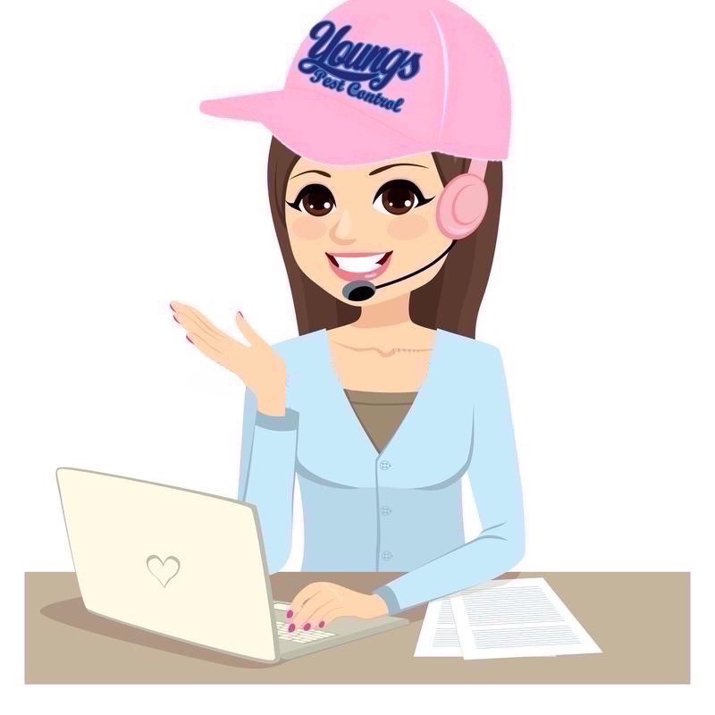 Writer: Youngs Pest Office