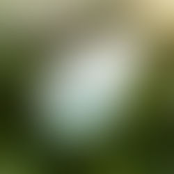 embodied carbon — the emissions locked into the materials, construction of CRE