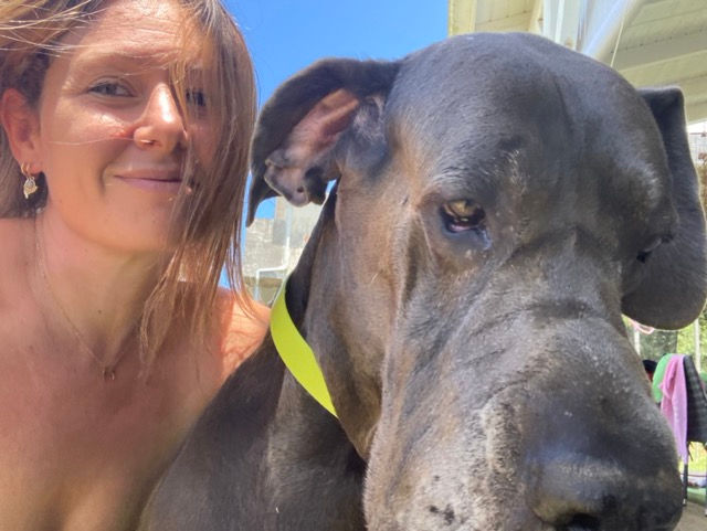 Miniature : 1ère Consultation NaturÔ Ani Maux