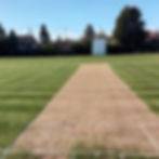 CR.3 Eco Cricket Squares Grass Seed Mix (CR3)