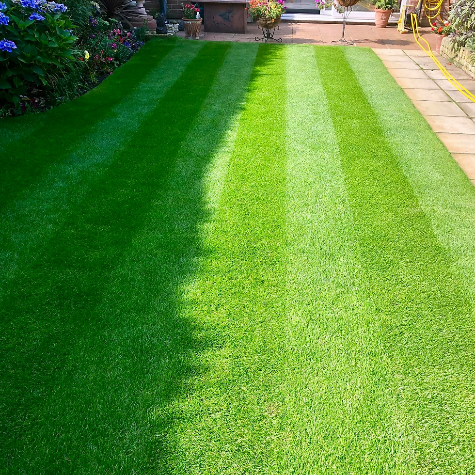 HM. Four Seasons Grass Seed Mix (Cold Growing Lawn Seed)
