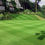 Thumbnail: HM.2 Premium Front Lawn / Low Maint Grass Seed Mix (HM2)