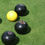 Thumbnail: BG.3 Premium Rye Greens Grass Seed Mix (BG3)
