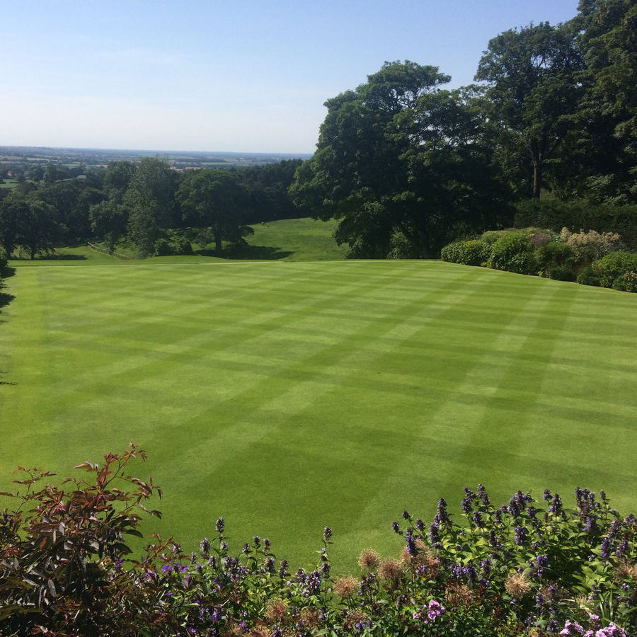 Thumbnail: HM.1 Fine Lawn Grass Seed Mix (HM1)