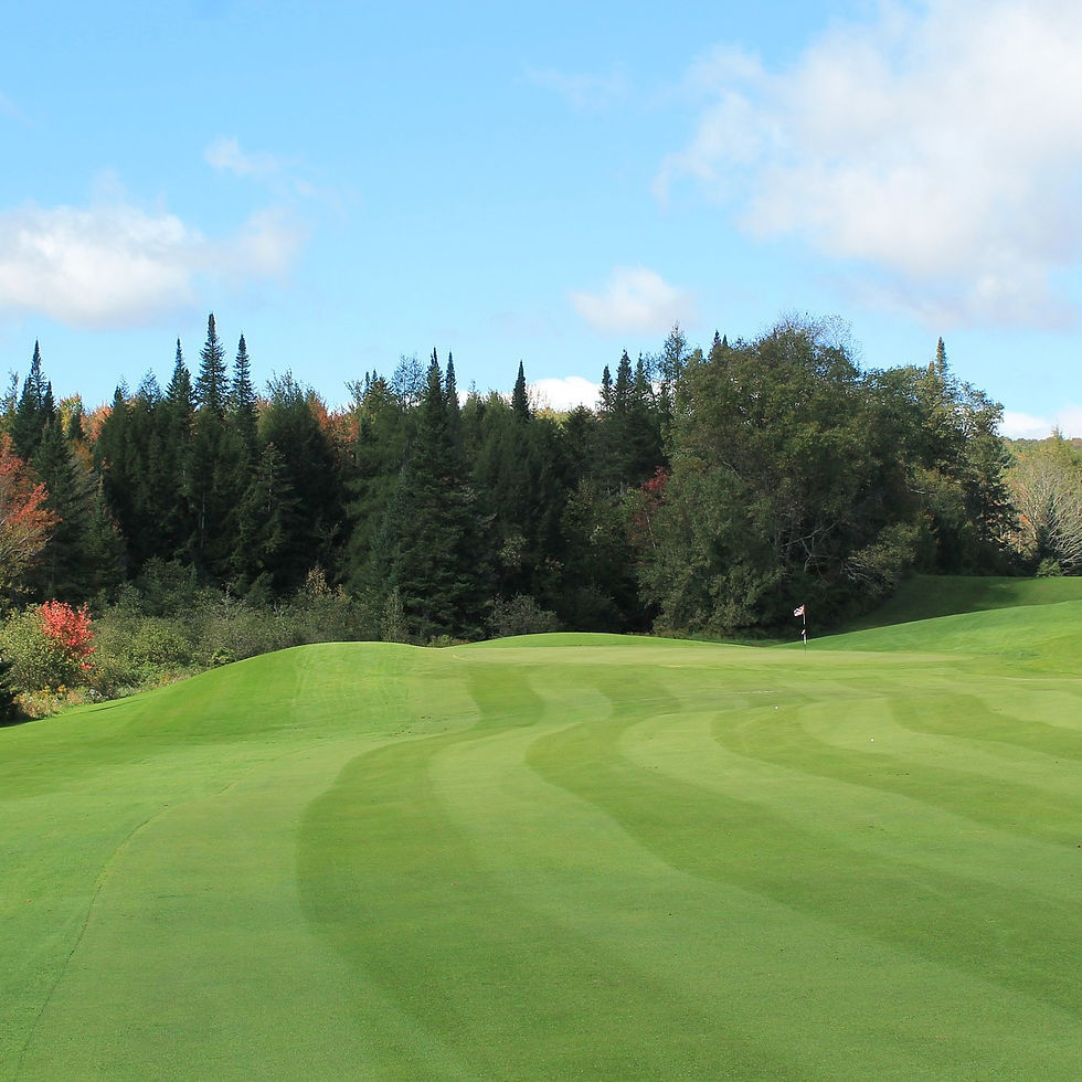 20kg - HF.1 Non Ryegrass Fairways Grass Seed Mix (HF1)
