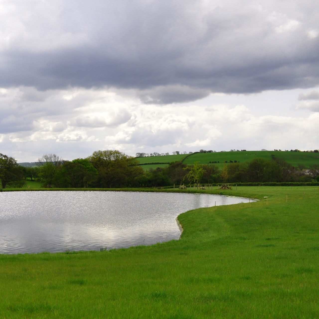 RP11 Swales, Pond & Bankside Grass Seed Mix (20kg Pack) (RP11) (RP7) (SW3)