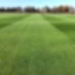 FR.4+PRO Tetraploid/Diploid Grass Seed Mix