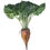 Thumbnail: Cagnotte Fodder Beet Seed (Acre Pack) (18% DM)