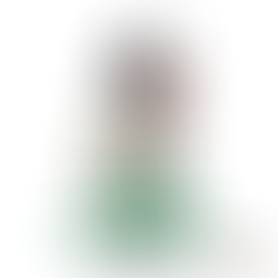 源 頼光 みなもと の よりみつ