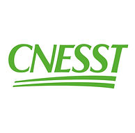 logo-cnesst-openGraph.jpg