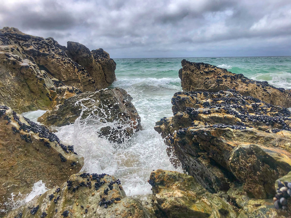 Atlantic ocean waves