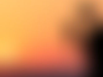 How do you know which Solar Company to trust?