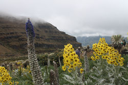 Panorámica del páramo de Ocetá