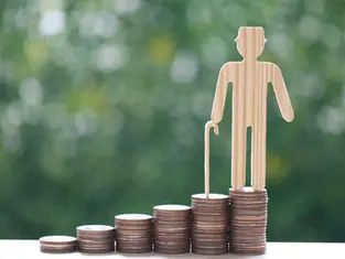 Tamamlayıcı Emeklilik Sistemi (TES) Nedir