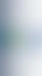 TSB Ekim 2025 prim verileri