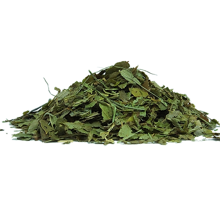 bilberry-774826_640.png
