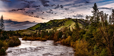 LANDSCAPE.png