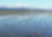 Photo provided by the city of Sado.