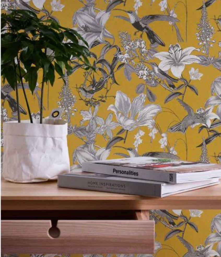 mur pleins en fond, plante en pot et livres