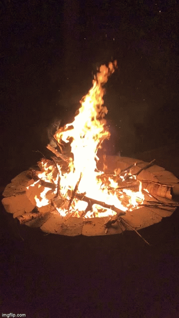 4hob6t.gif
