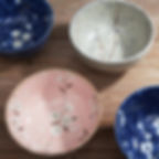 Japanese Donburi bowl