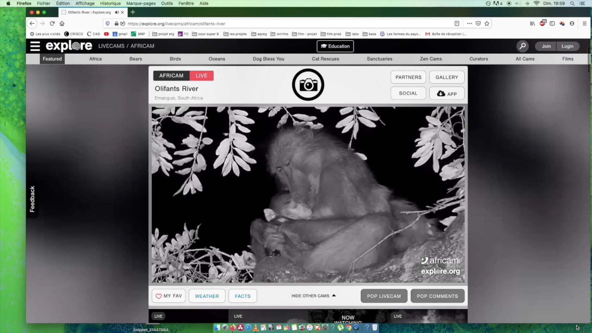 We Had Fun Yesterday