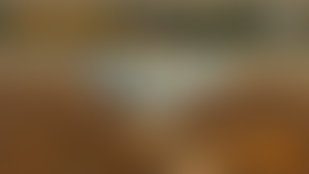 生态环境影像：气候变化下的个体行动