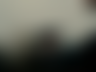 BISFF2025|International Competition 国际竞赛