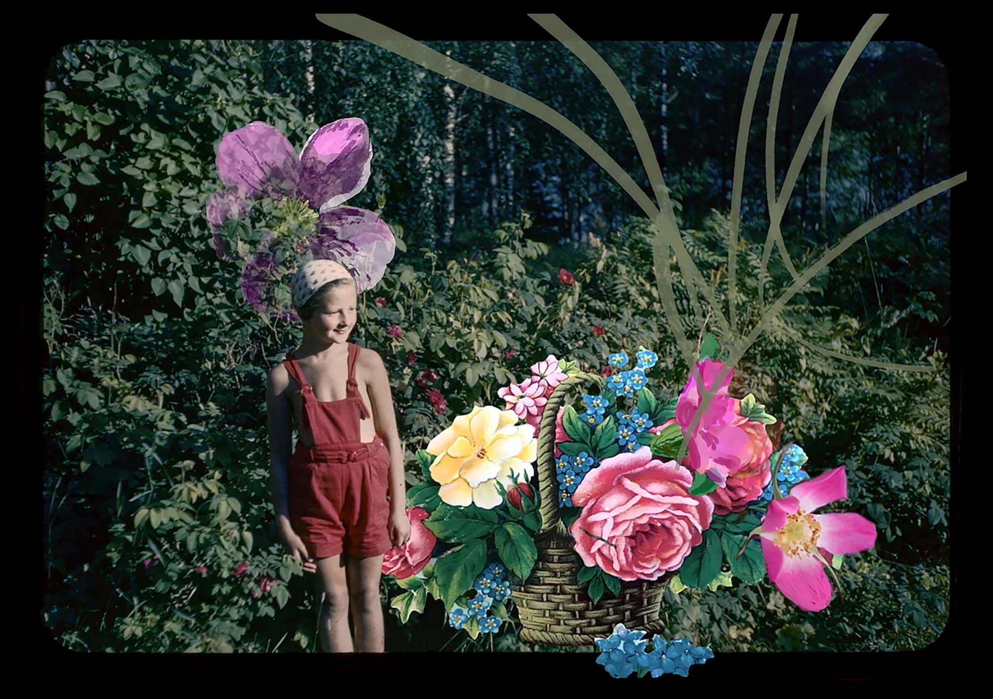 In Memoriam / Islanders