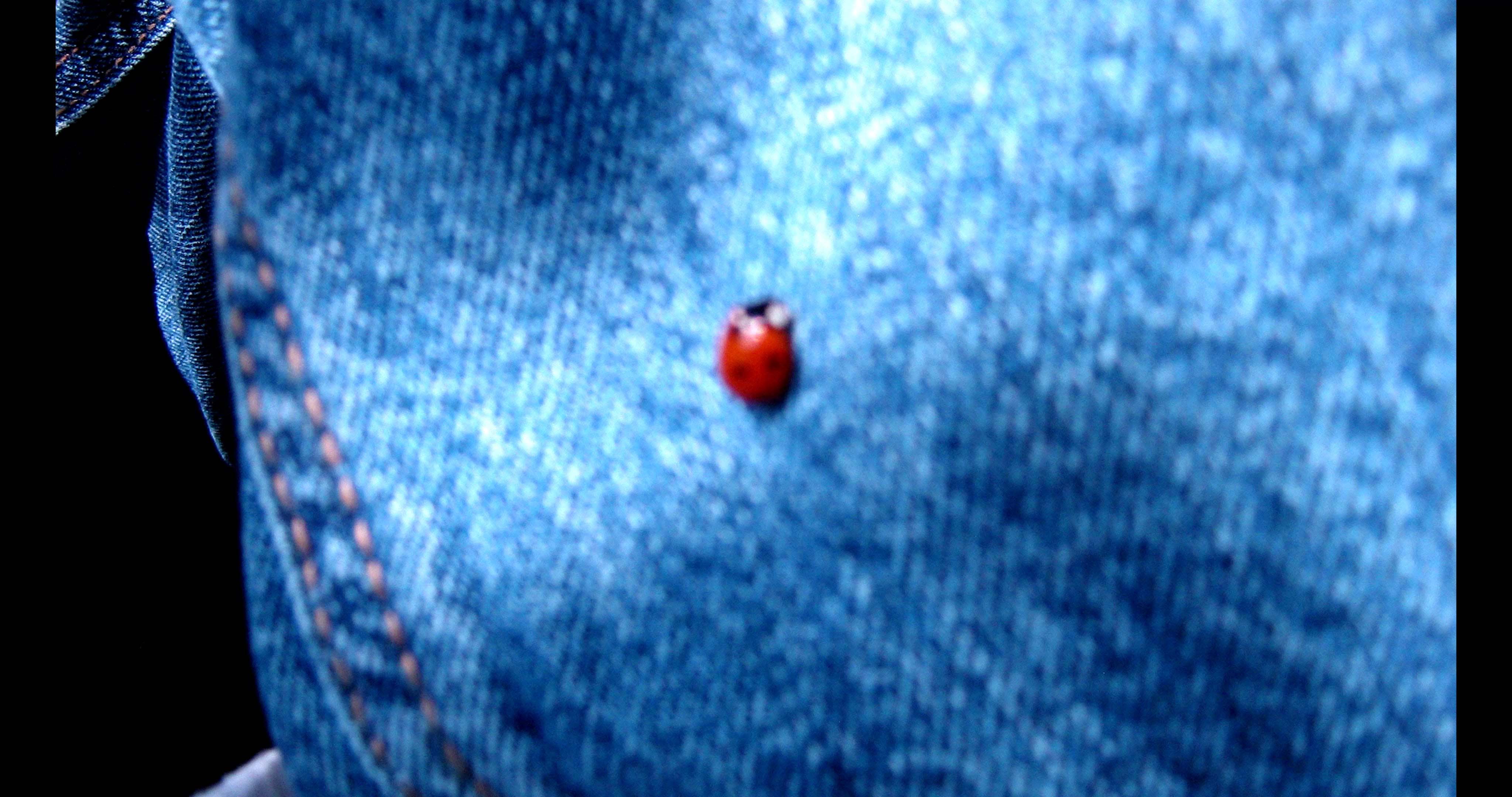 Heartbroken for Good