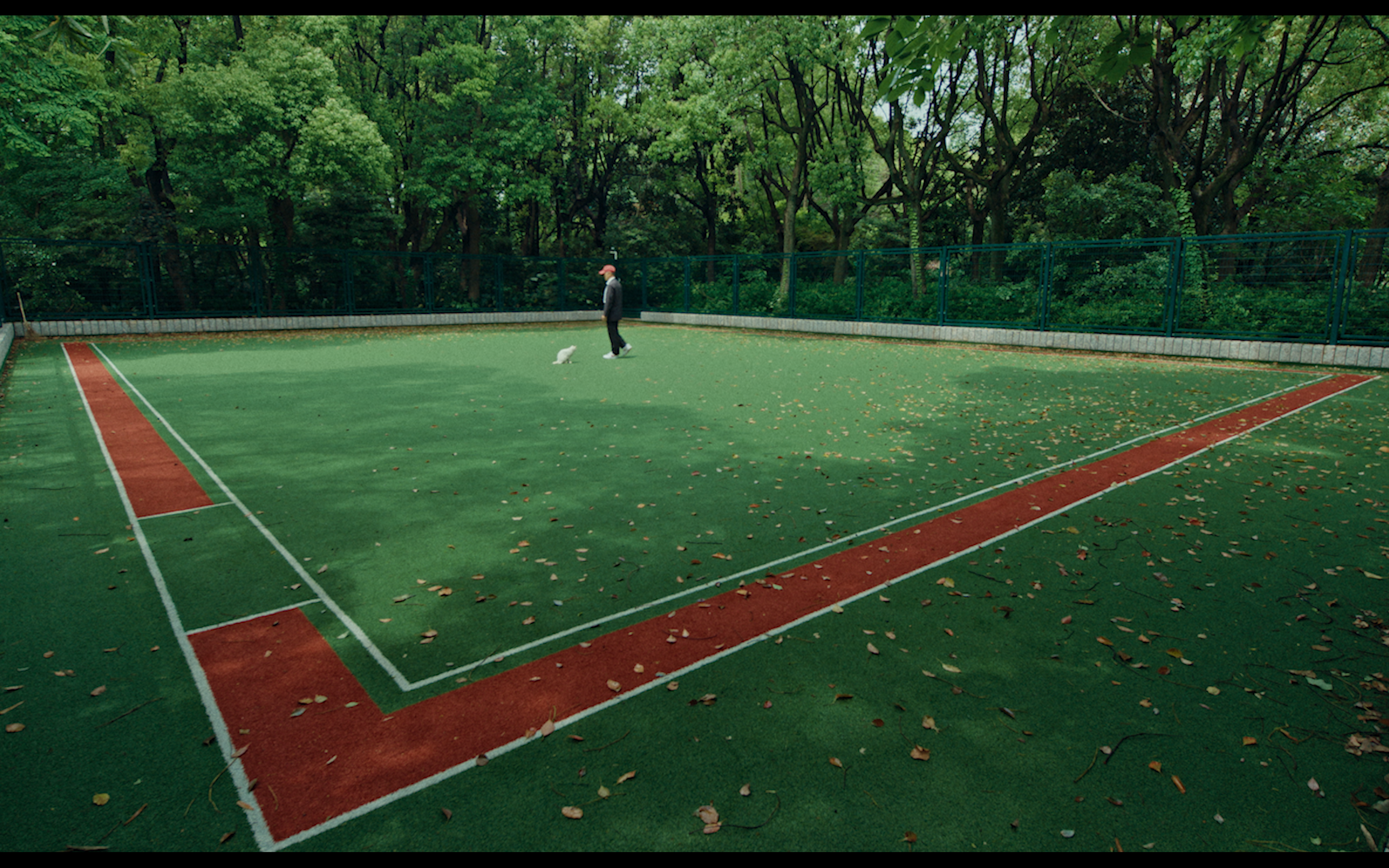 The Park is Public
