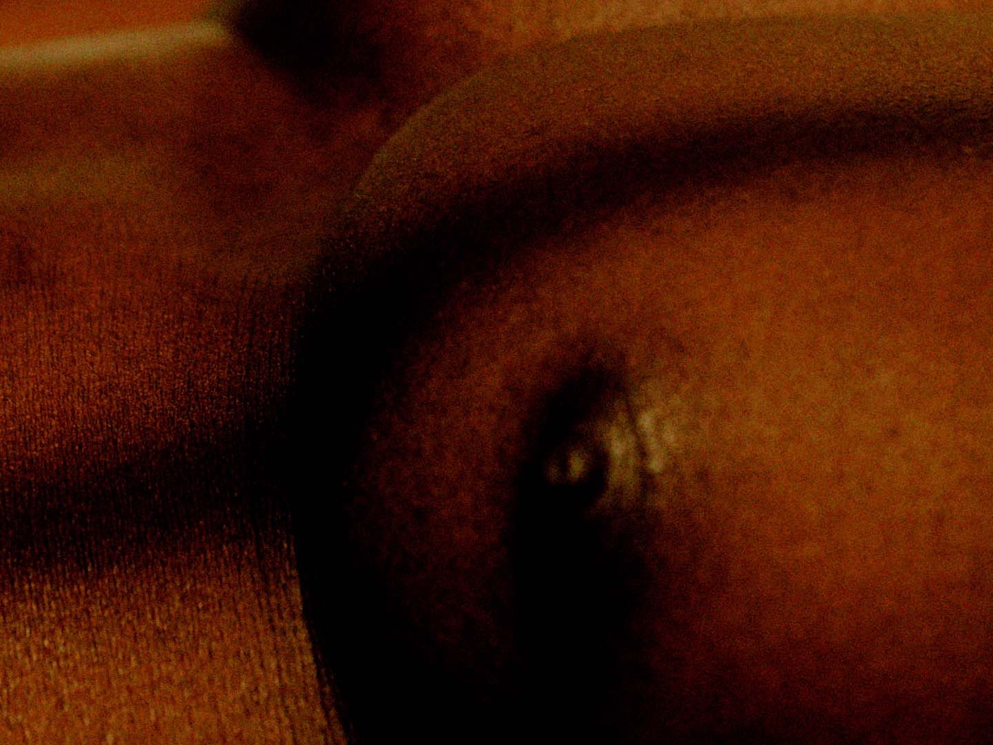 We Keep on Looking for You