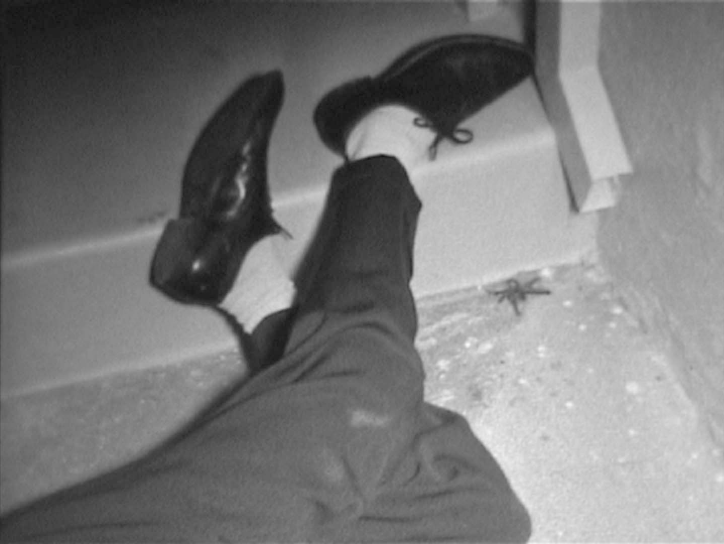 As in a Land, a Vagary