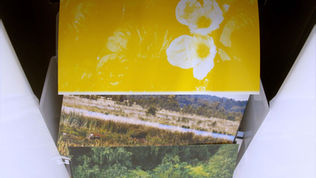 BISFF2025 | Correspondence 通信计划054：Strata 叠境