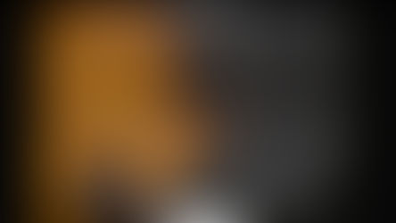 BISFF Reboot 放映重启｜ECHO Archival Film档案电影单元