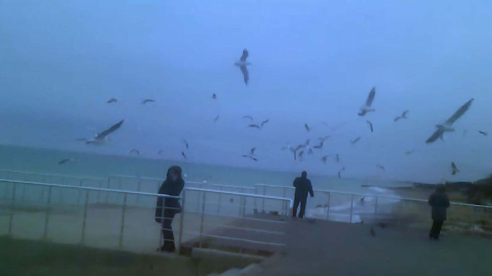 text for a film pitch_01.jpg