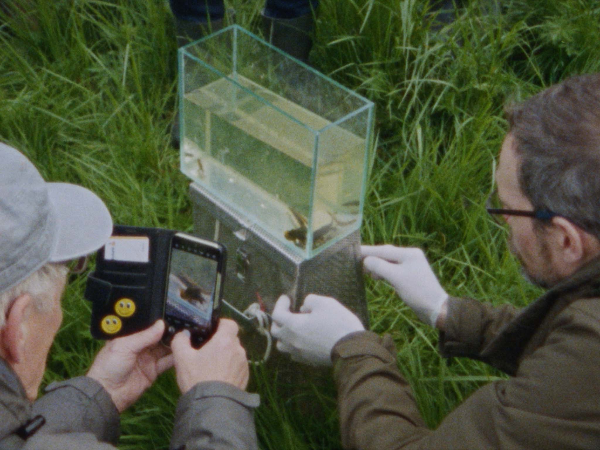 Seen From Here, I Feel Like Belonging