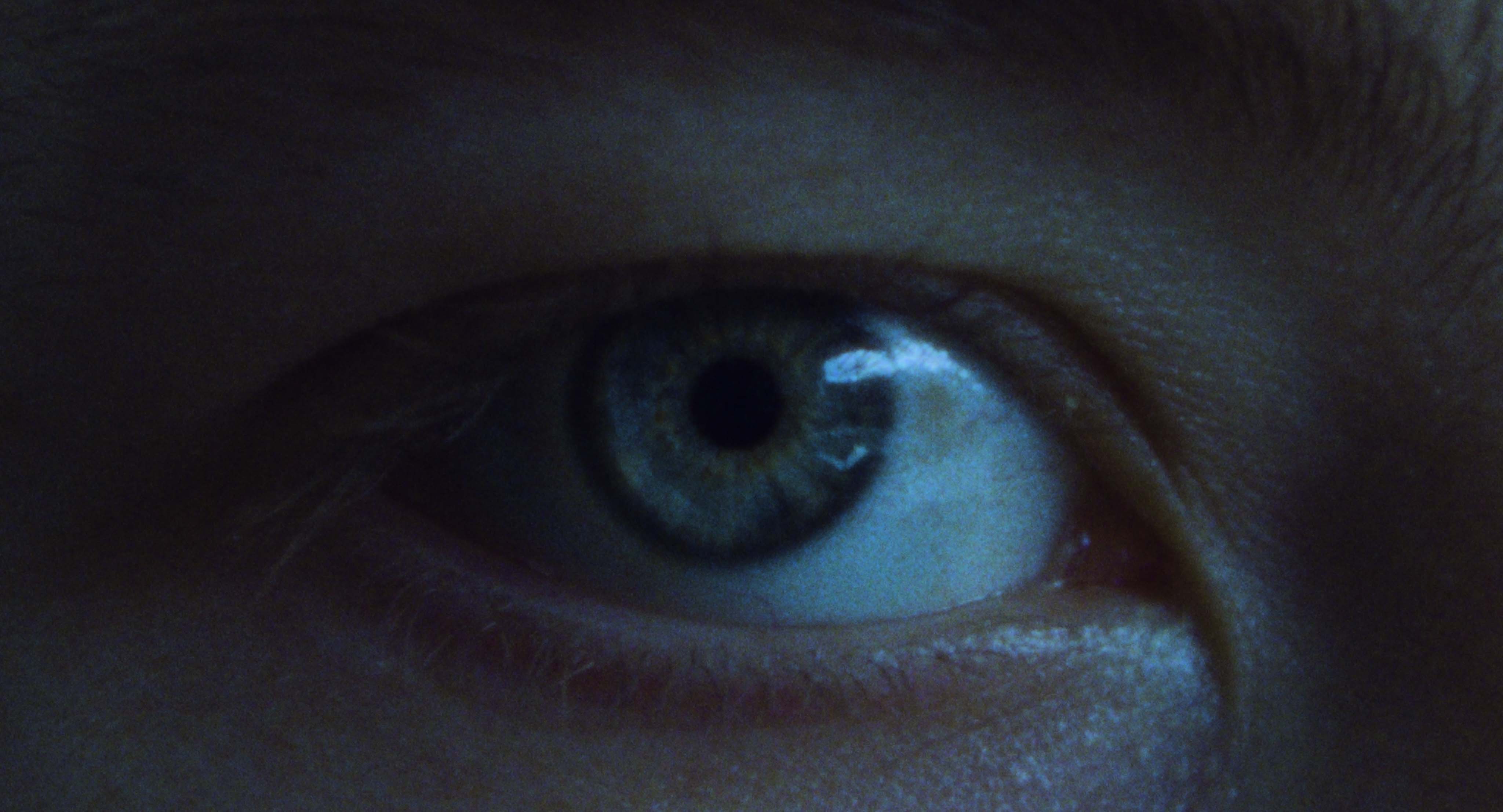 L' Acqua Xe Morta / The Water Is Dead