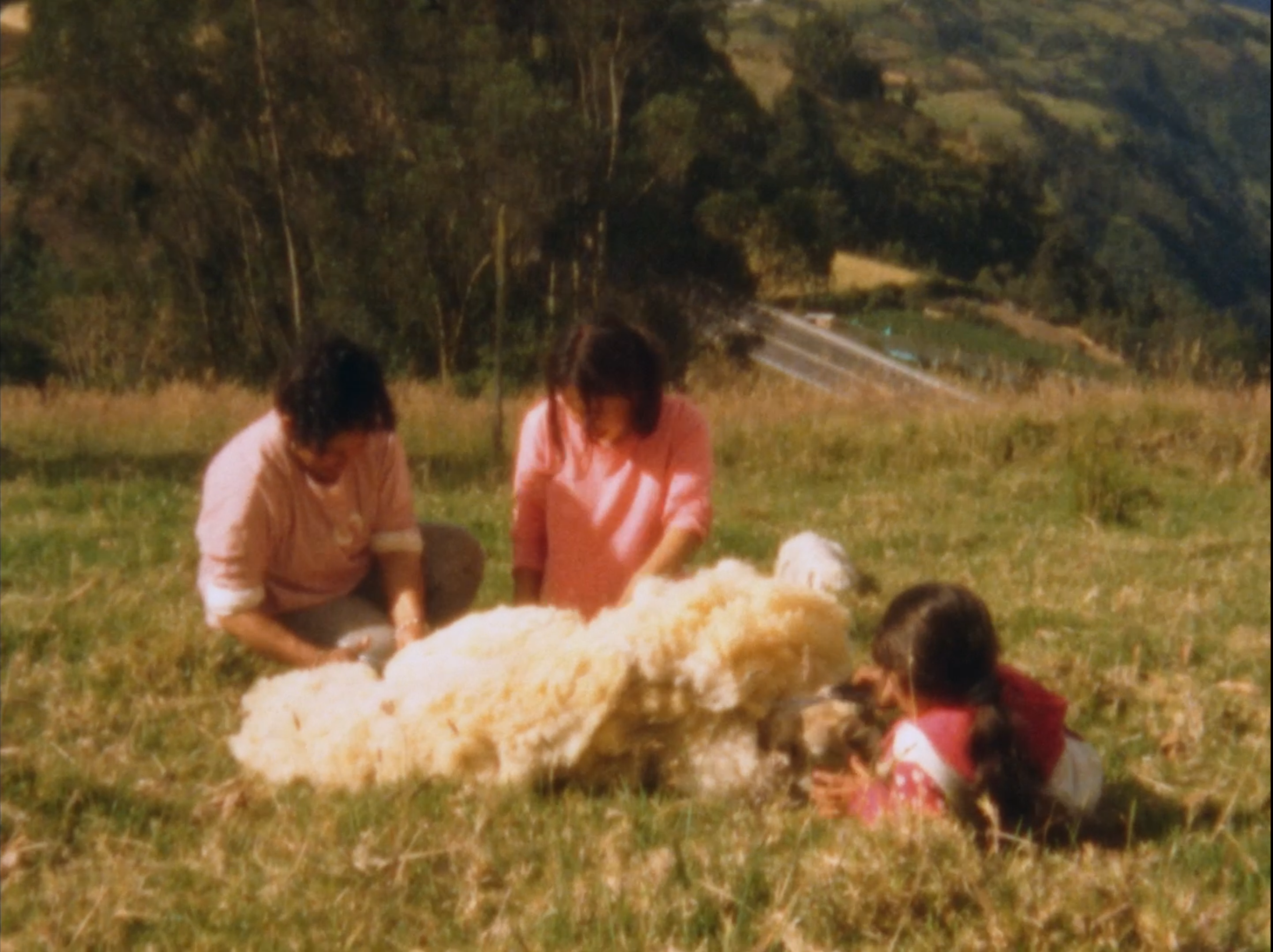 When They Left, All That Remained Was a Small Noise in the Mountain