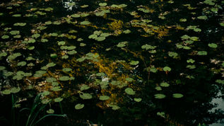 BISFF2025 | Correspondence 通信计划062：Grounds, Premises 根基，立场