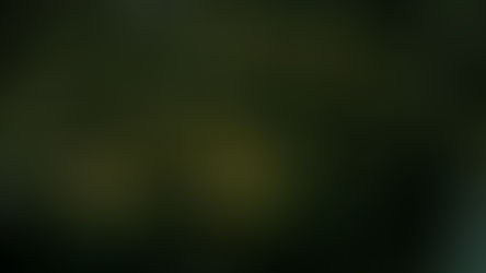 BISFF2025 | Correspondence 通信计划062：Grounds, Premises 根基，立场