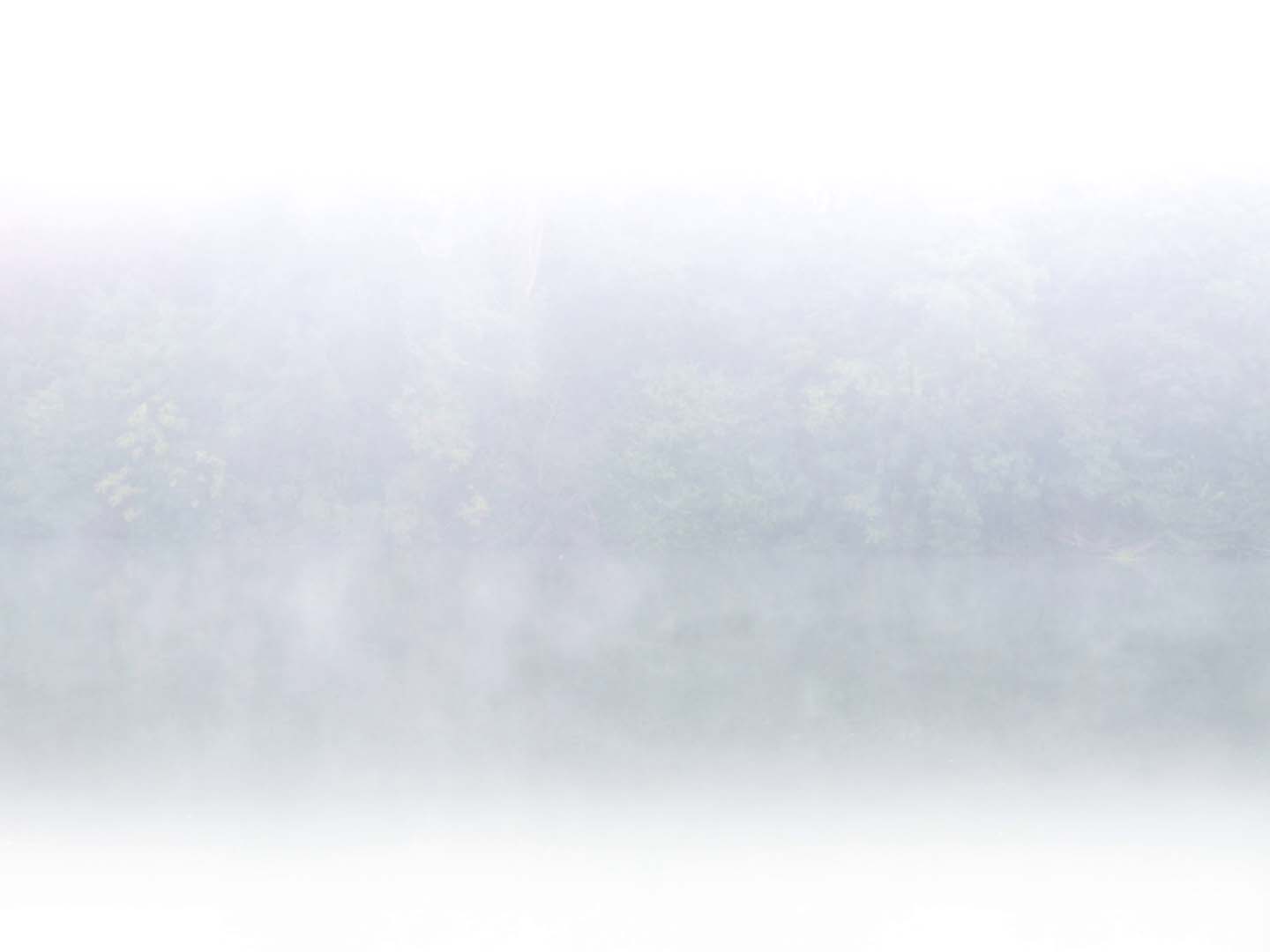 The Whitest of Shadows