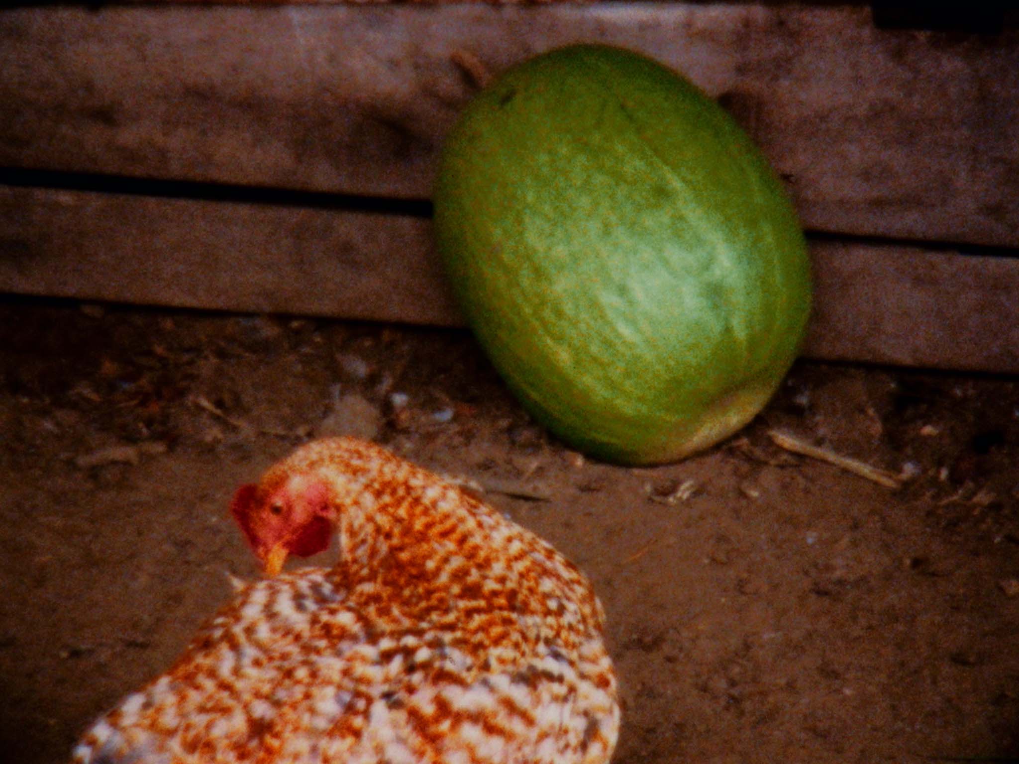 In Its Fertile Shade