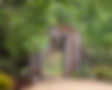 Ornate wooden gateway entrance to lush garden path