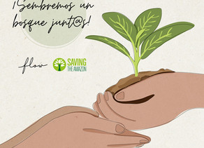 Sembrar esperanza con Saving the Amazon