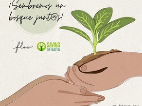 Sembrar esperanza con Saving the Amazon