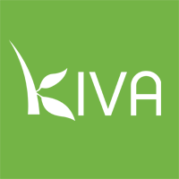 Kiva Micro Loans